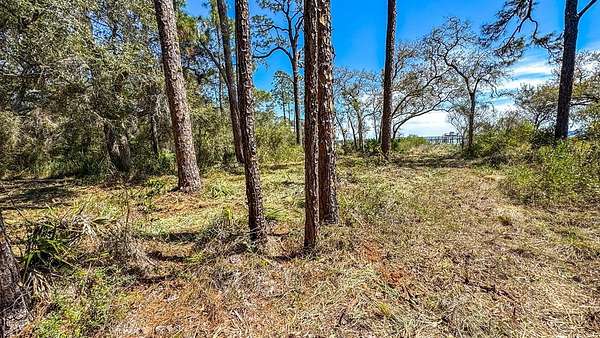 1 Acre of Residential Land for Sale in Carrabelle, Florida