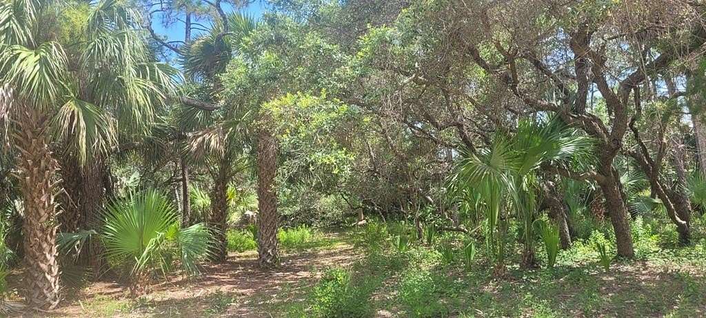 0.34 Acres of Residential Land for Sale in St. George Island, Florida