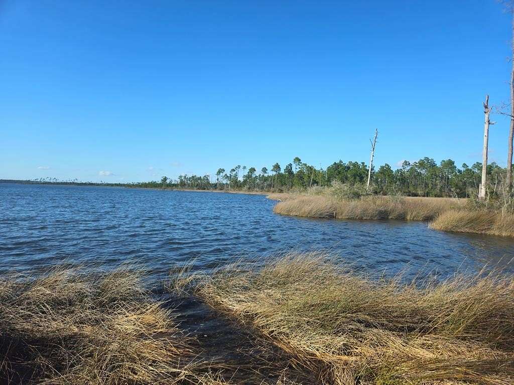 53 Acres of Land for Sale in Wewahitchka, Florida