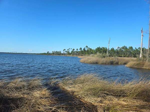 53 Acres of Land for Sale in Wewahitchka, Florida