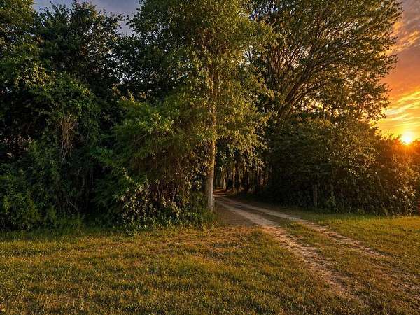 78.7 Acres of Recreational & Residential Land for Sale in Wewahitchka, Florida