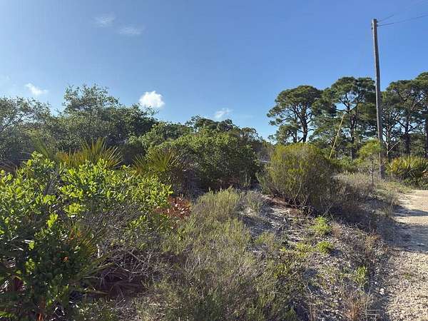 0.35 Acres of Land for Sale in Port St. Joe, Florida