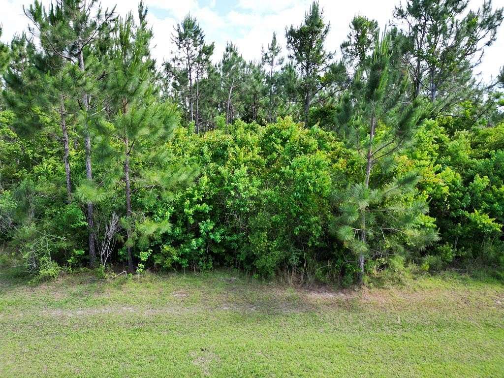1.1 Acres of Residential Land for Sale in Wewahitchka, Florida