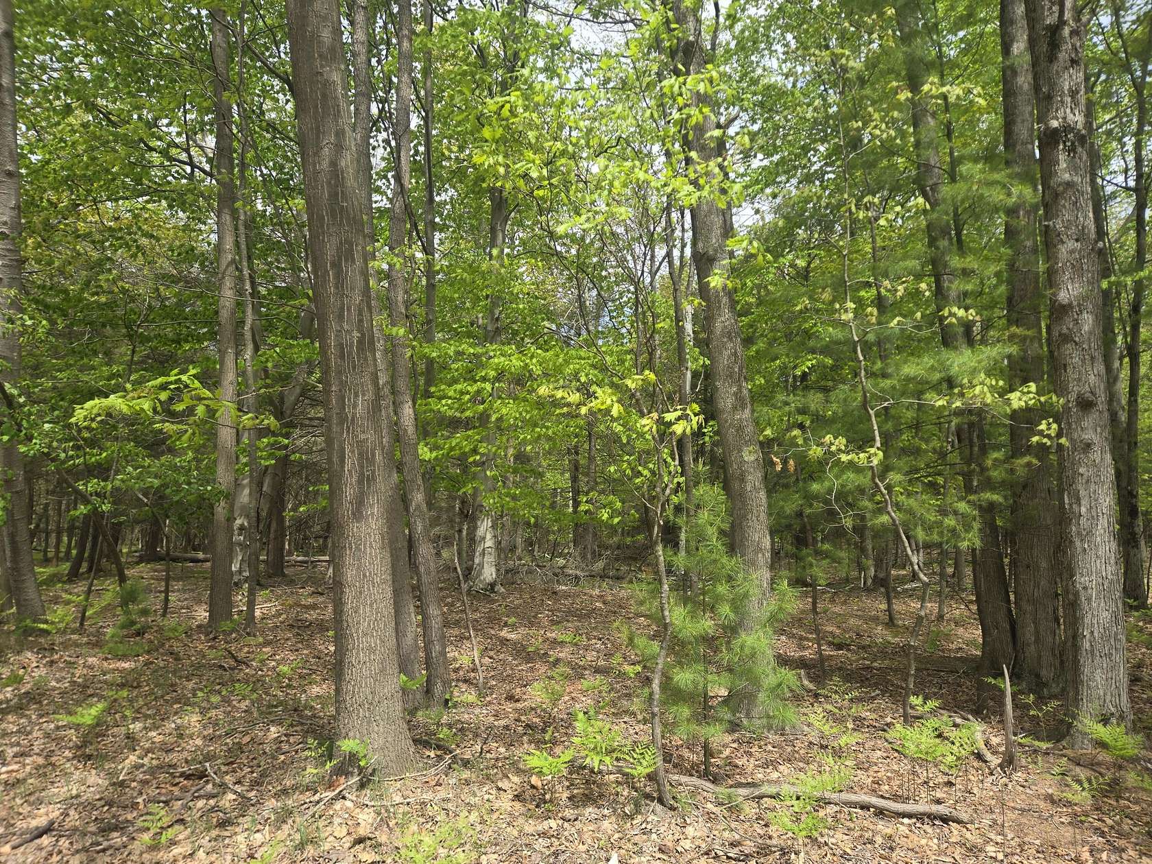 10 Acres of Residential Land for Sale in Mears, Michigan