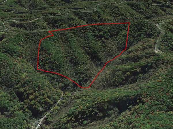 55 Acres of Recreational Land for Sale in Grundy, Virginia