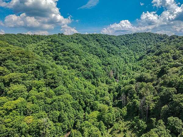 55 Acres of Recreational Land for Sale in Grundy, Virginia