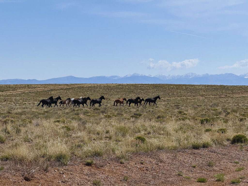 5.45 Acres of Land for Sale in San Luis, Colorado