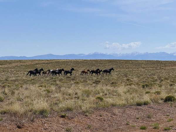 5.45 Acres of Land for Sale in San Luis, Colorado