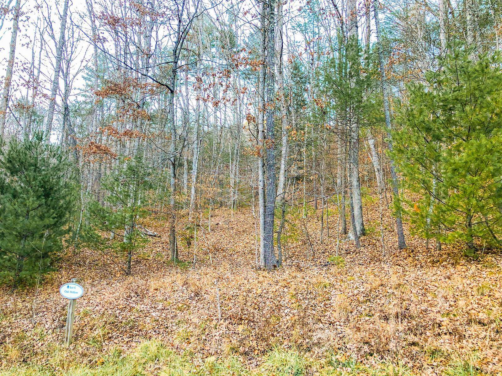 3.14 Acres of Residential Land for Sale in White Sulphur Springs, West Virginia