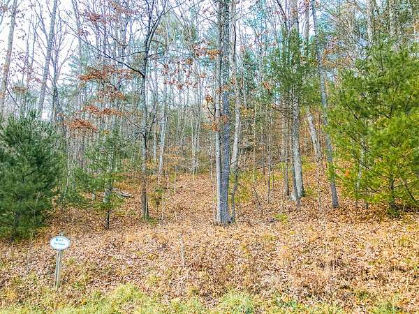 3.14 Acres of Residential Land for Sale in White Sulphur Springs, West Virginia