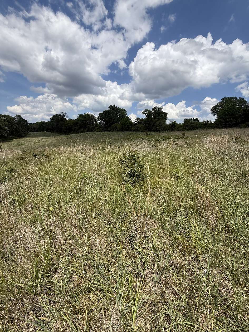 0.96 Acres of Residential Land for Sale in McMinnville, Tennessee