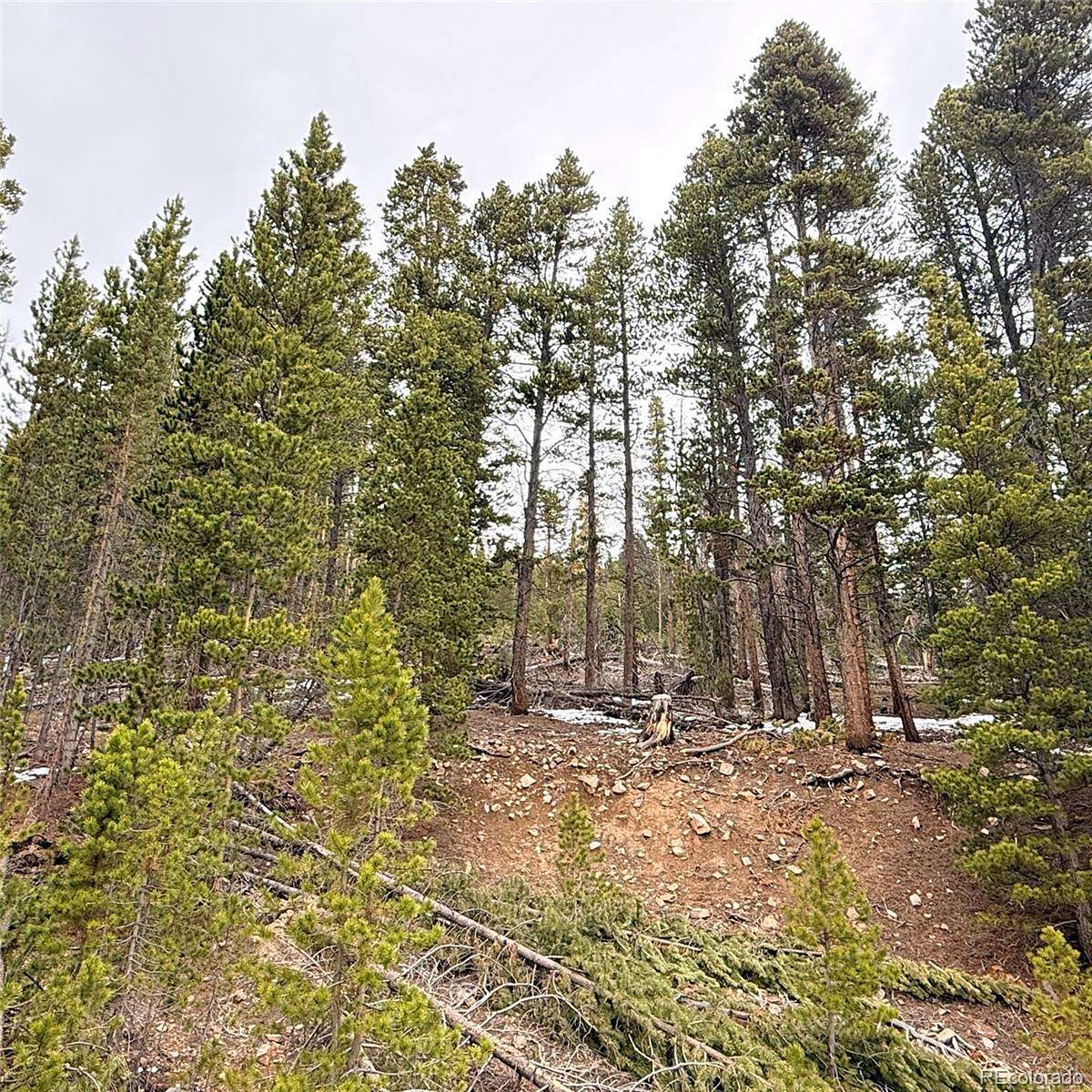 0.32 Acres of Residential Land for Sale in Idaho Springs, Colorado