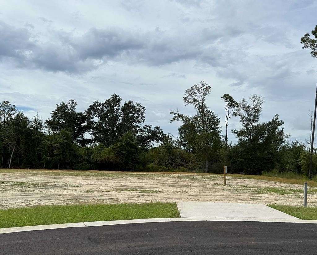 Land for Sale in Wewahitchka, Florida
