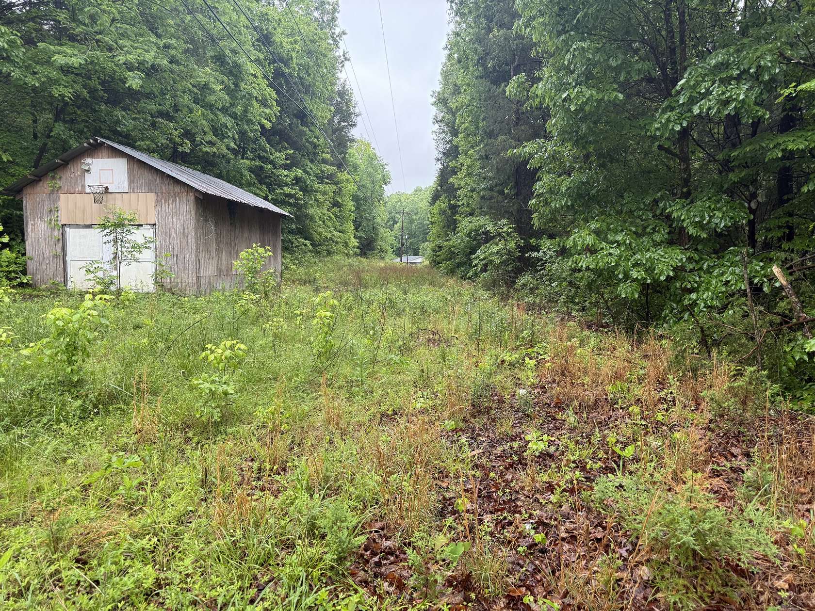 3 Acres of Residential Land for Sale in Linden, Tennessee