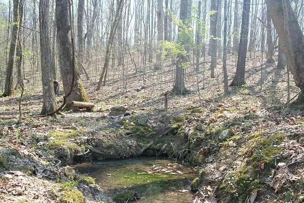 44 Acres of Land for Sale in Spring City, Tennessee