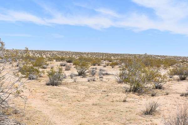 81.7 Acres of Agricultural Land for Sale in Hi Vista, California