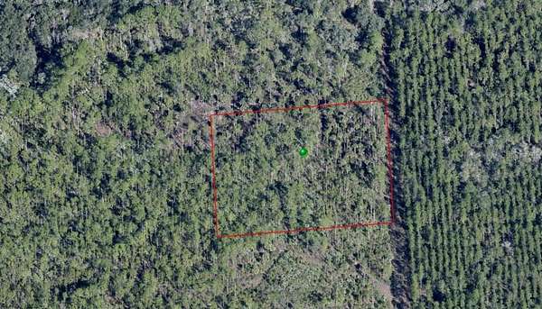 2.5 Acres of Land for Sale in Osteen, Florida