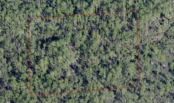 2.5 Acres of Land for Sale in Osteen, Florida