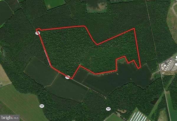 152 Acres of Recreational Land for Sale in New Church, Virginia
