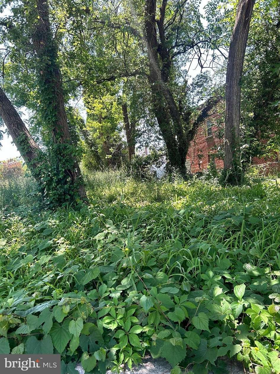 0.16 Acres of Residential Land for Sale in Washington, District of Columbia