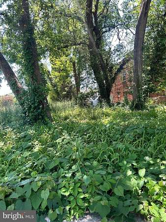 0.16 Acres of Residential Land for Sale in Washington, District of Columbia