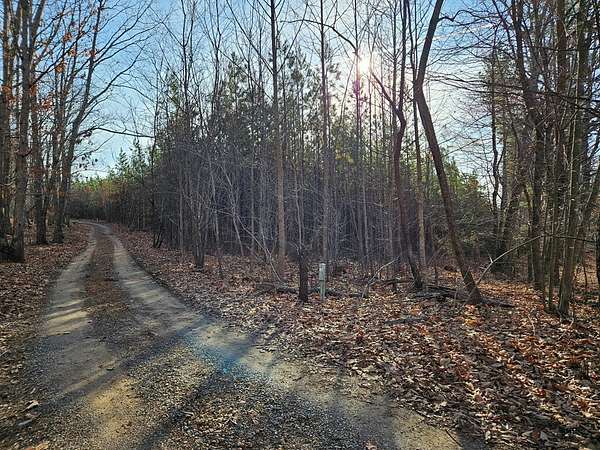 70 Acres of Recreational & Residential Land for Sale in Rustburg, Virginia
