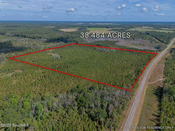 38.5 Acres of Recreational & Residential Land for Sale in Jacksonville, Georgia