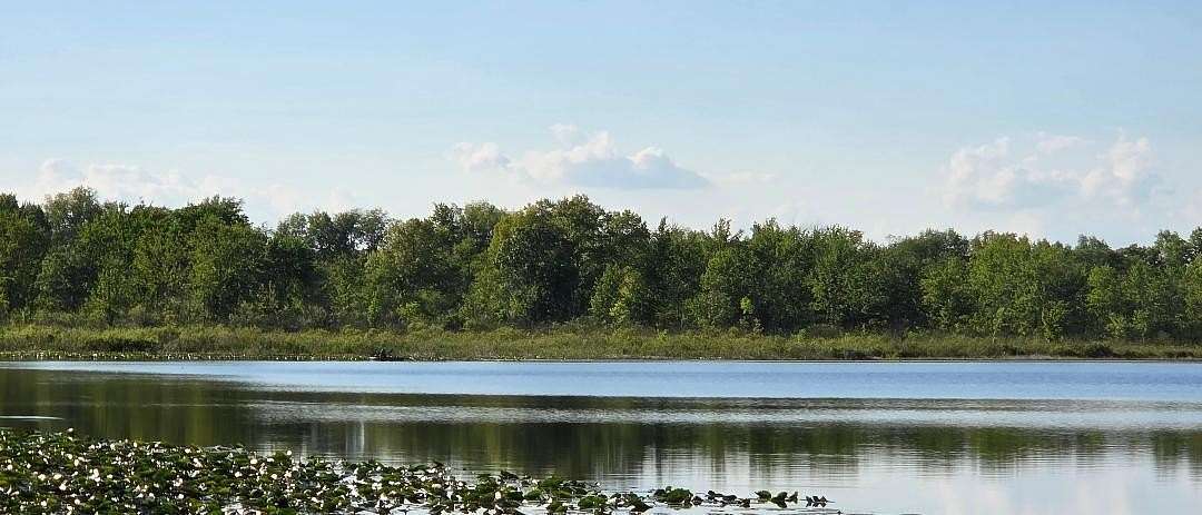 20 Acres of Recreational & Residential Land for Sale in Burlington, Michigan