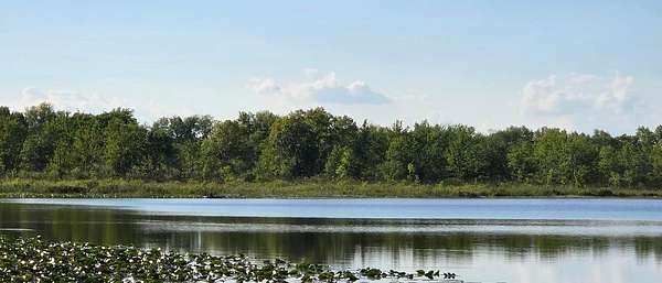 20 Acres of Recreational & Residential Land for Sale in Burlington, Michigan