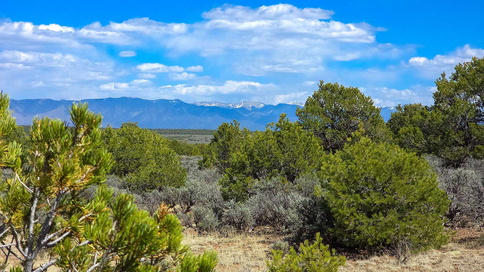 0.5 Acres of Residential Land for Sale in Taos, New Mexico