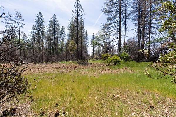 62.3 Acres of Recreational Land for Sale in Forest Ranch, California
