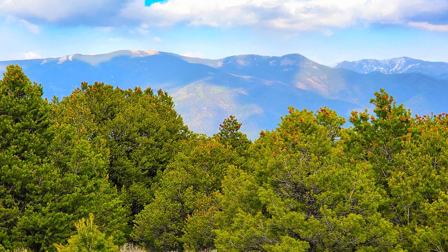 0.5 Acres of Residential Land for Sale in Taos, New Mexico