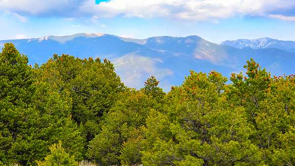 0.5 Acres of Residential Land for Sale in Taos, New Mexico
