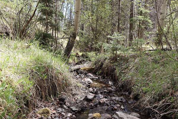 35 Acres of Land for Sale in Aguilar, Colorado