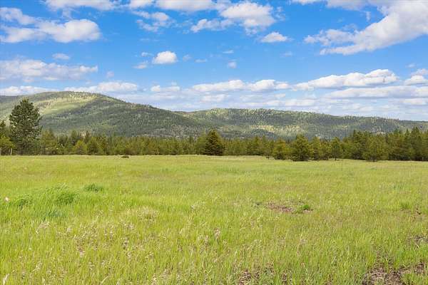 4 Acres of Land for Sale in Marion, Montana