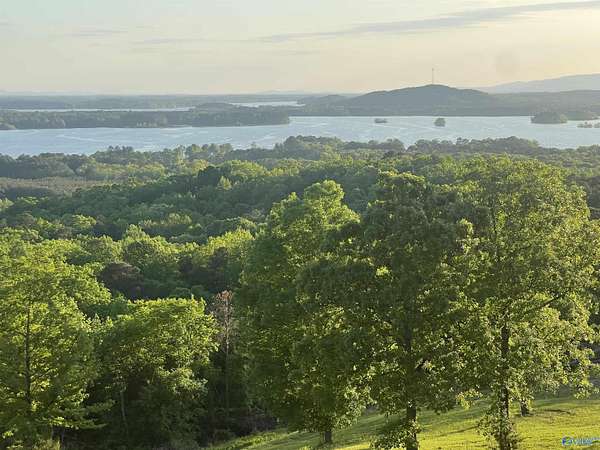 2.34 Acres of Residential Land for Sale in Cedar Bluff, Alabama