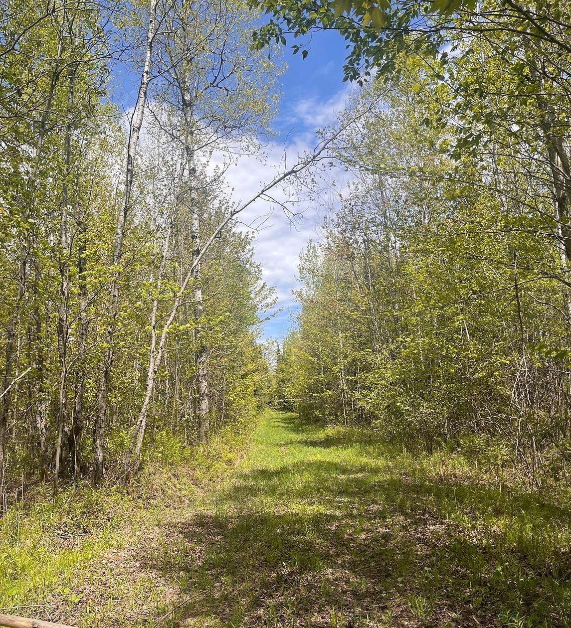 80 Acres of Recreational Land for Sale in Prentice, Wisconsin