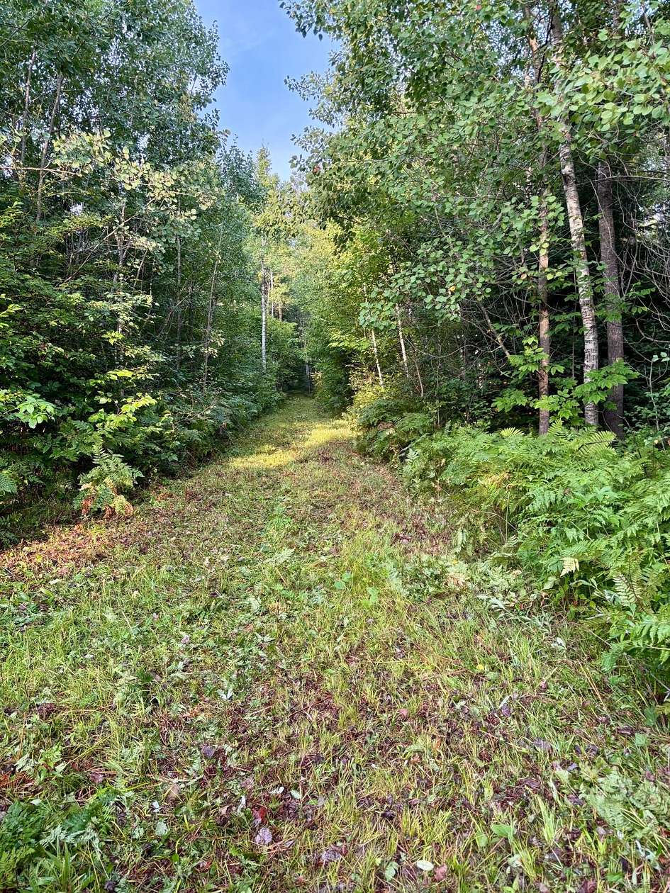 80 Acres of Recreational Land for Sale in Prentice, Wisconsin