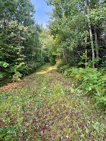 80 Acres of Recreational Land for Sale in Prentice, Wisconsin