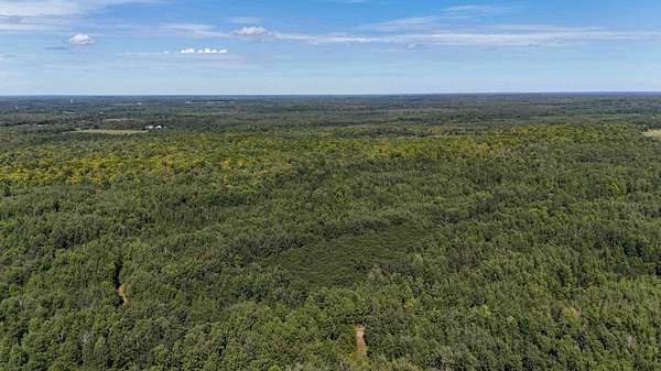 80 Acres of Recreational Land for Sale in Prentice, Wisconsin