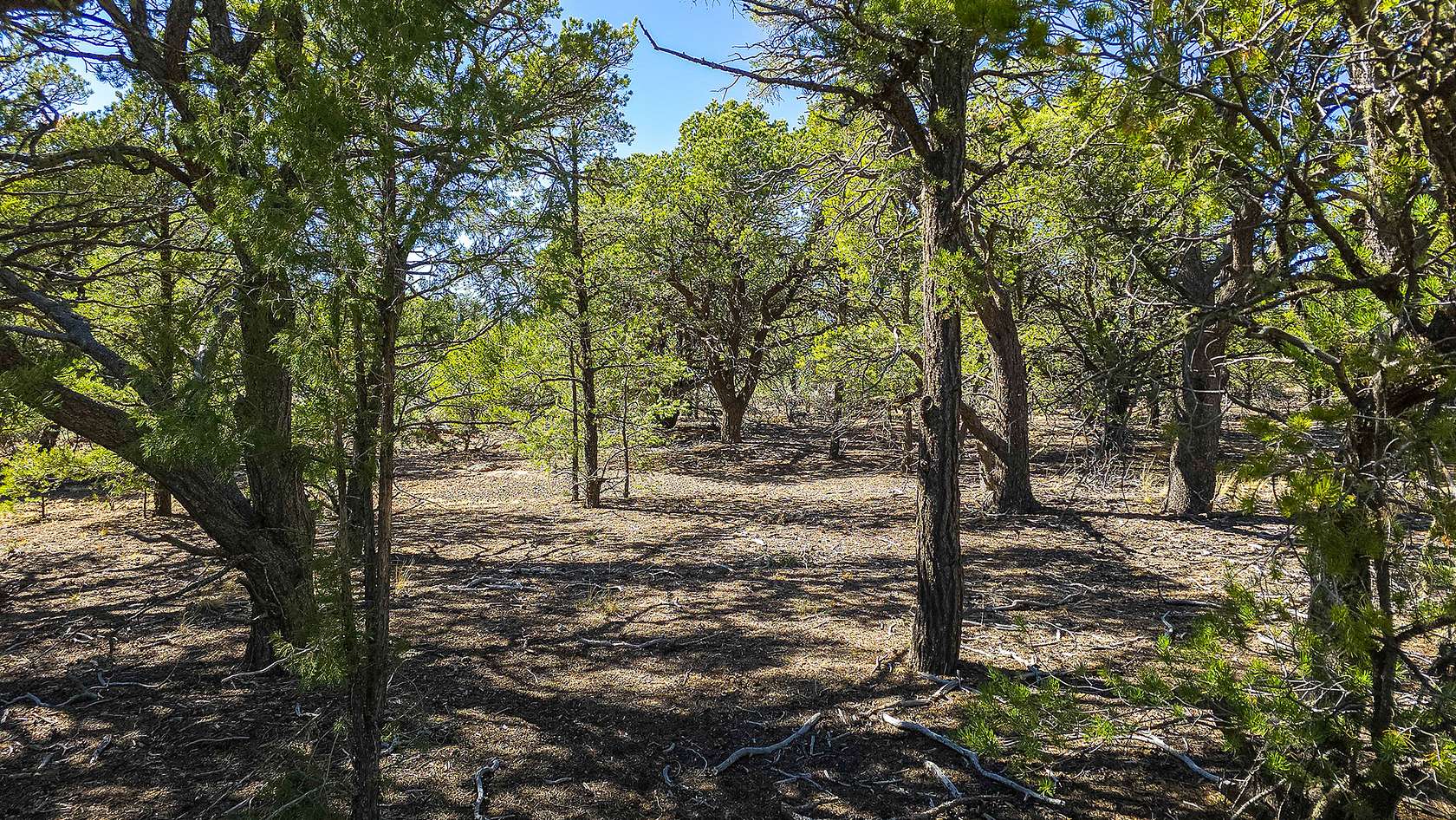 1 Acre of Residential Land for Sale in Taos, New Mexico