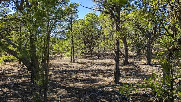 1 Acre of Residential Land for Sale in Taos, New Mexico