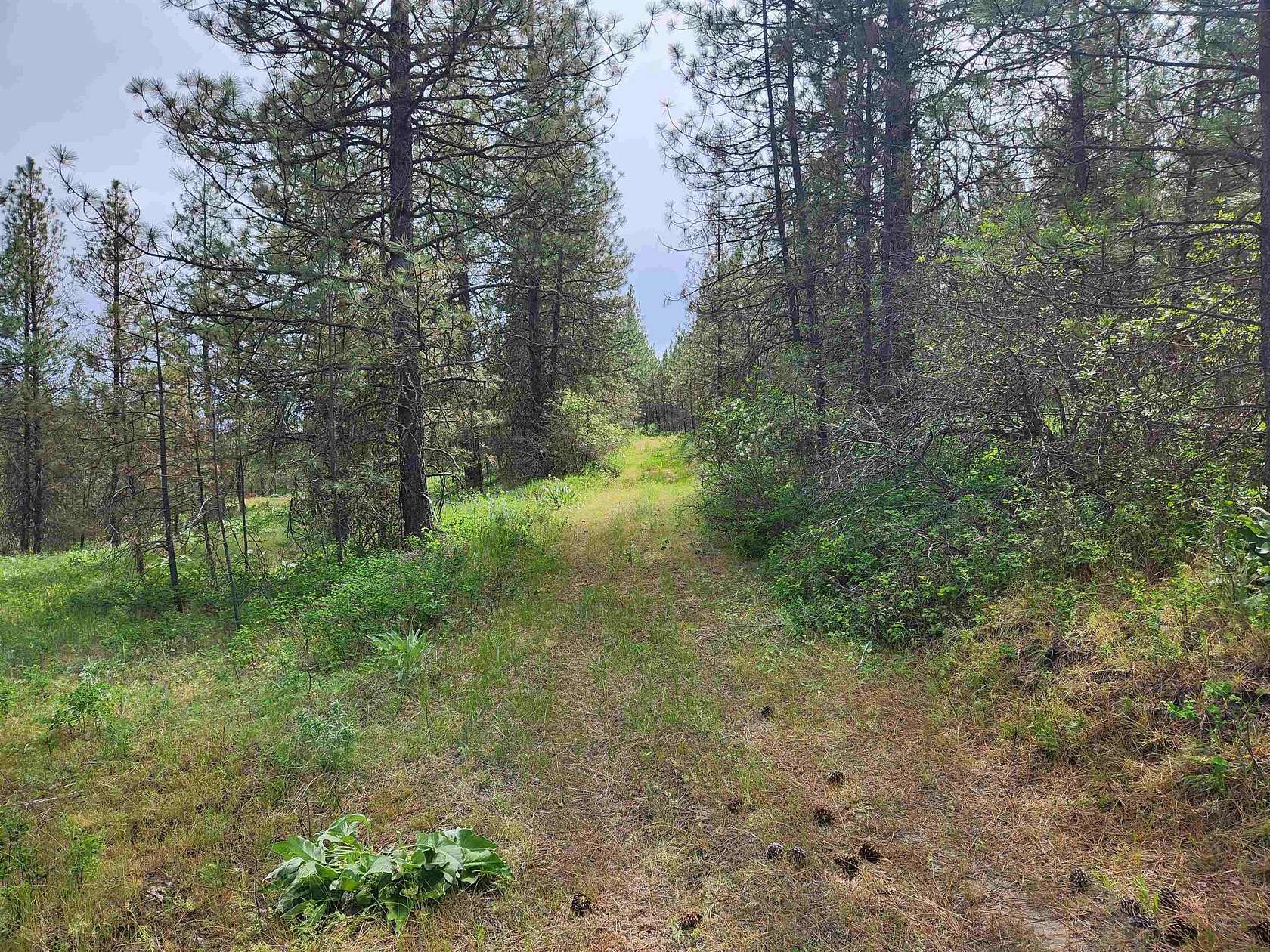 40 Acres of Recreational Land for Sale in Fruitland, Washington