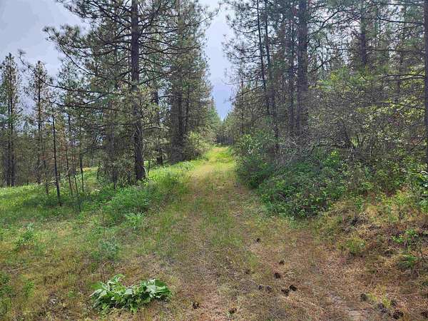 40 Acres of Recreational Land for Sale in Fruitland, Washington
