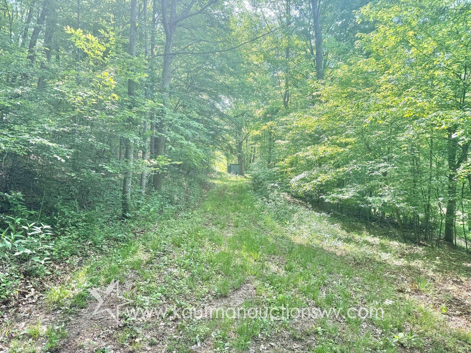 205 Acres of Recreational & Residential Land for Sale in Procious, West Virginia