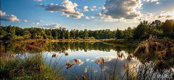 78 Acres of Land for Sale in Doniphan, Missouri