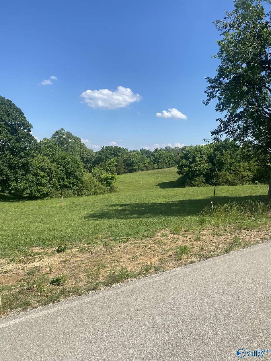 19.3 Acres of Land for Sale in Anderson, Alabama