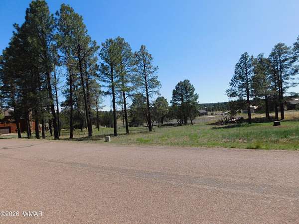 0.43 Acres of Residential Land for Sale in Overgaard, Arizona