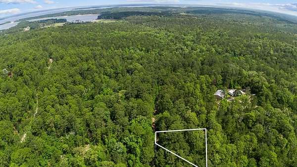 0.24 Acres of Land for Sale in Brookeland, Texas