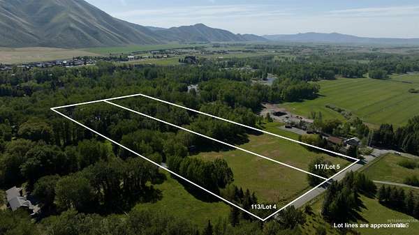 14.1 Acres of Agricultural Land for Sale in Bellevue, Idaho